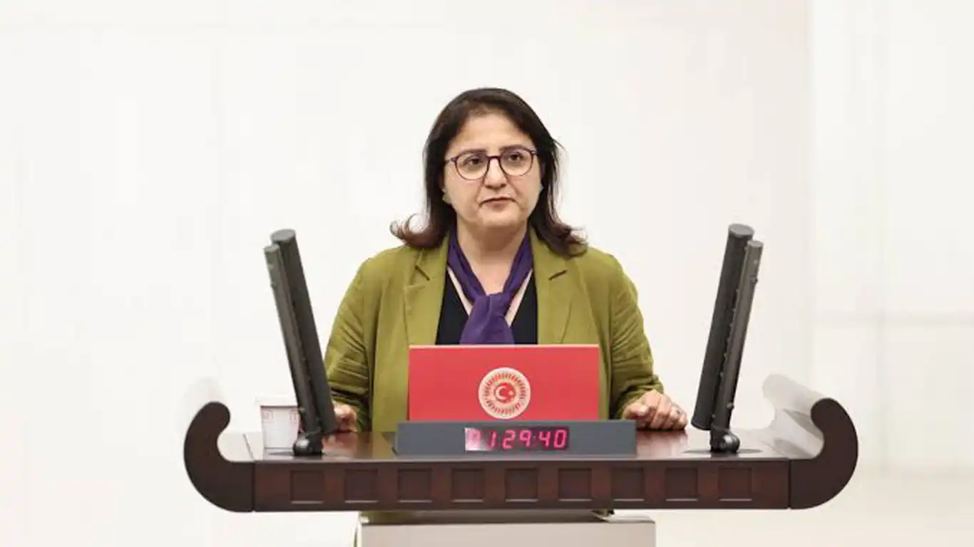 Dersim'de Eğitim Sorunları Meclis Gündeminde, Soru Önergesi Verildi