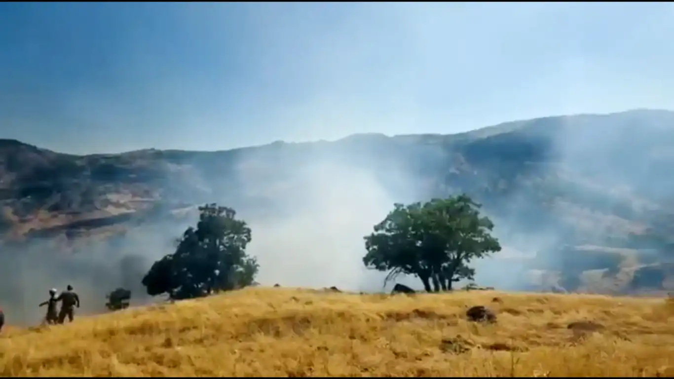 Nazımiye'de orman yangınına havadan ve karadan müdahale ediliyor